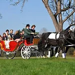 Landgasthof Altwirt Hotel