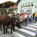Landgasthof Altwirt 3*