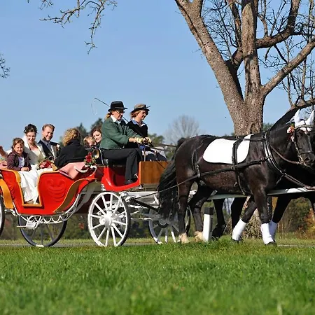 Landgasthof Altwirt Hotel