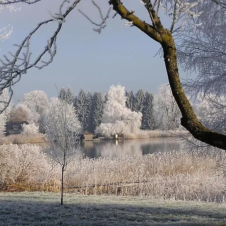 Landgasthof Altwirt Seeham