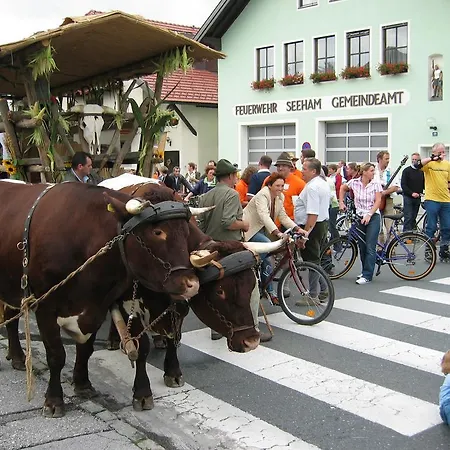 Landgasthof Altwirt 3*