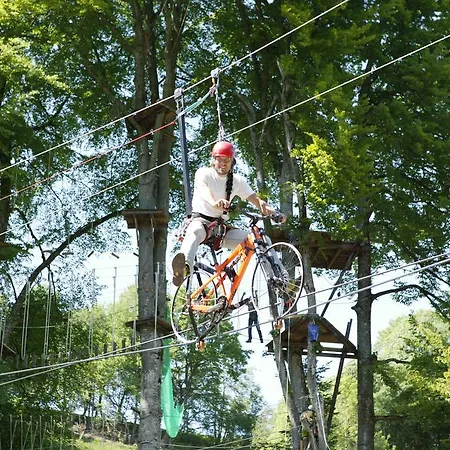 Hotel Landgasthof Altwirt