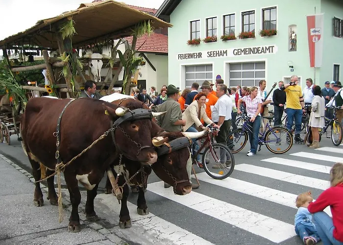 Landgasthof Altwirt 3*